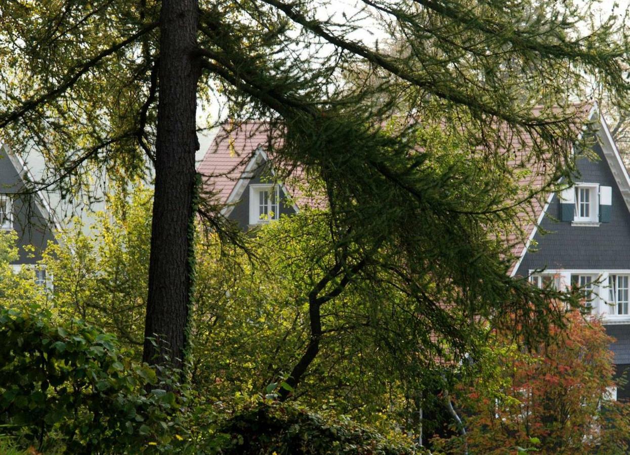 Wildbach Appartement Ober-Hambach Extérieur photo