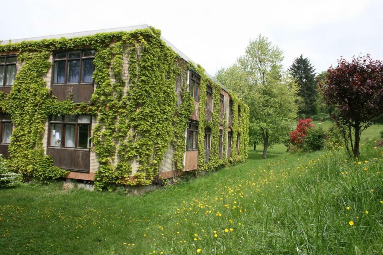 Wildbach Appartement Ober-Hambach Extérieur photo